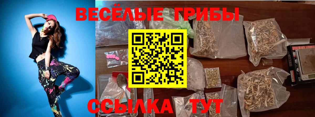 Псилоцибиновые грибы MAGIC MUSHROOMS Хабаровск
